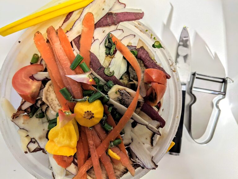 Smart Ways to Reduce Food Waste at Home Easily
